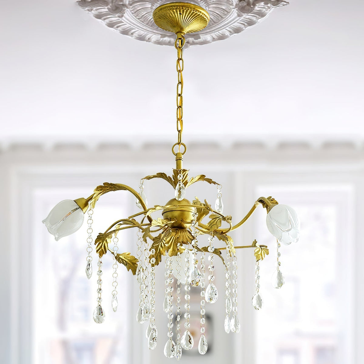 Vasorus lámpara de araña