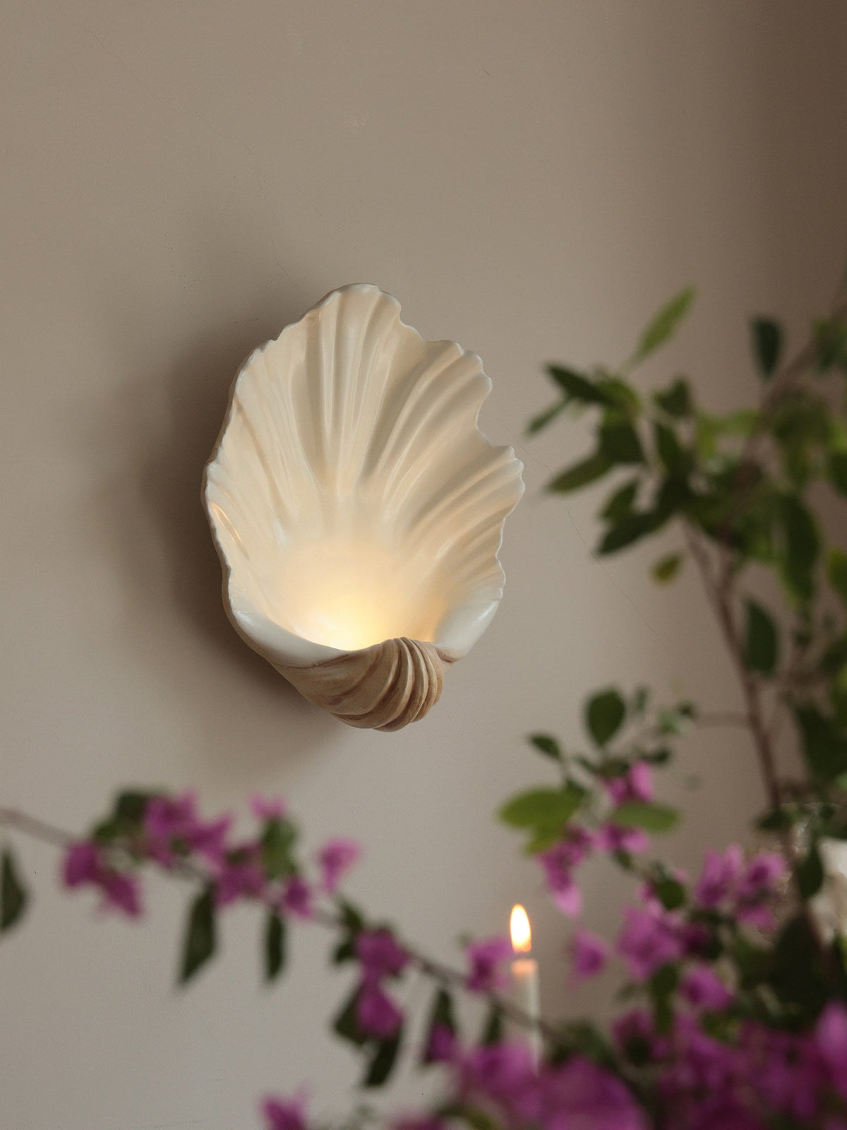Aplique de pared Shell