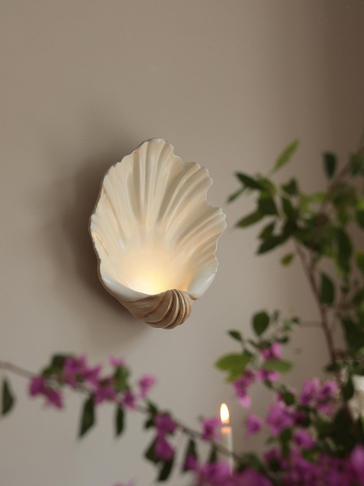Aplique de pared Shell