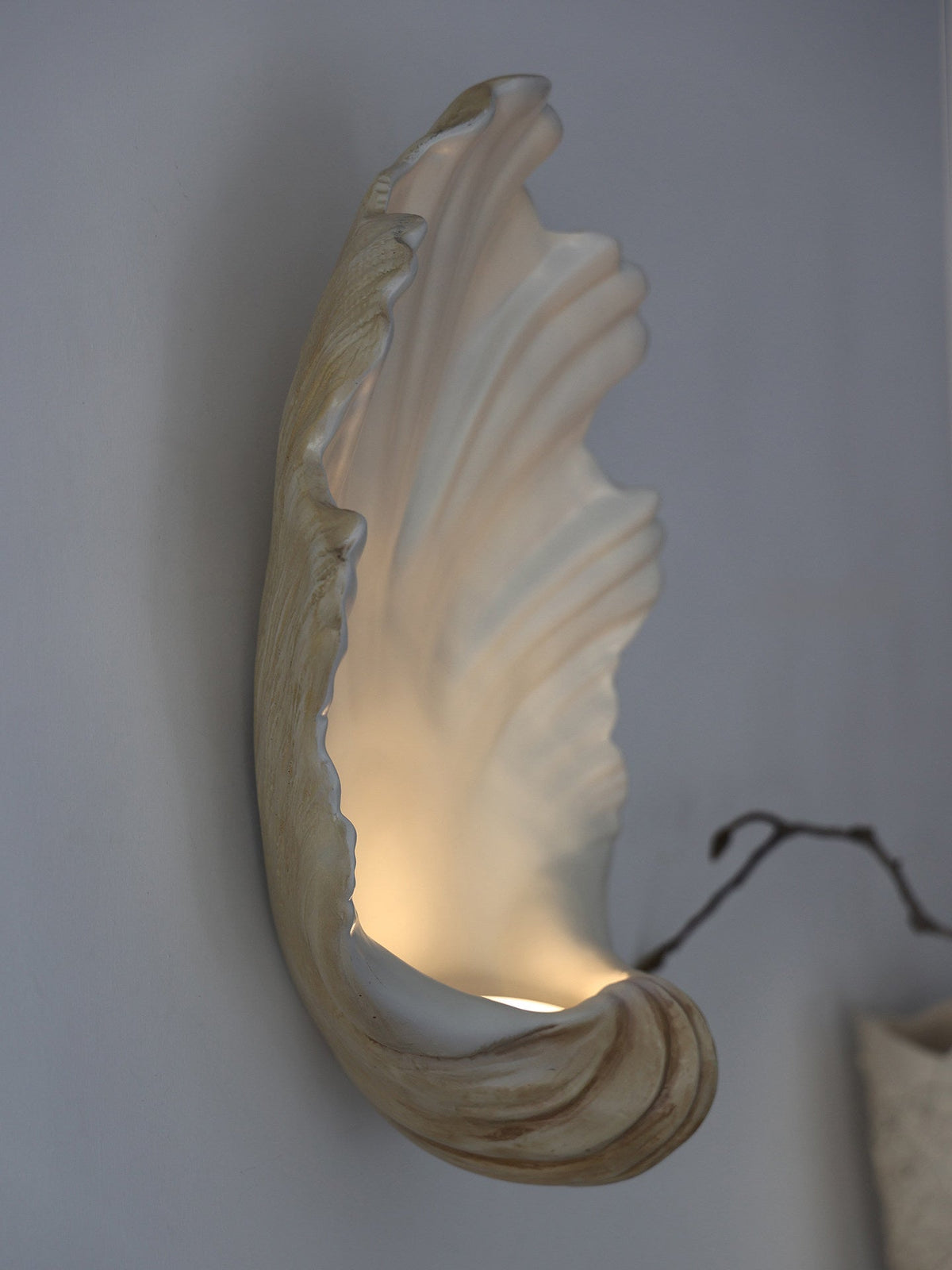 Aplique de pared Shell