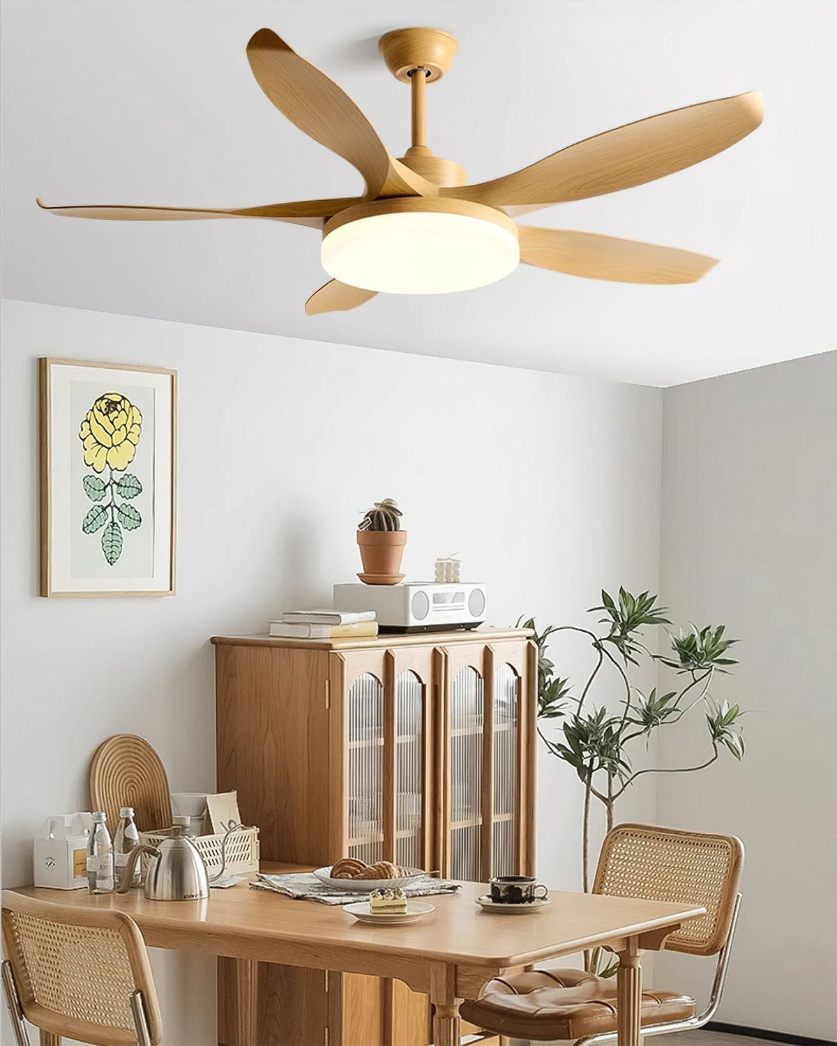Liororeria ventilador de techo con luz