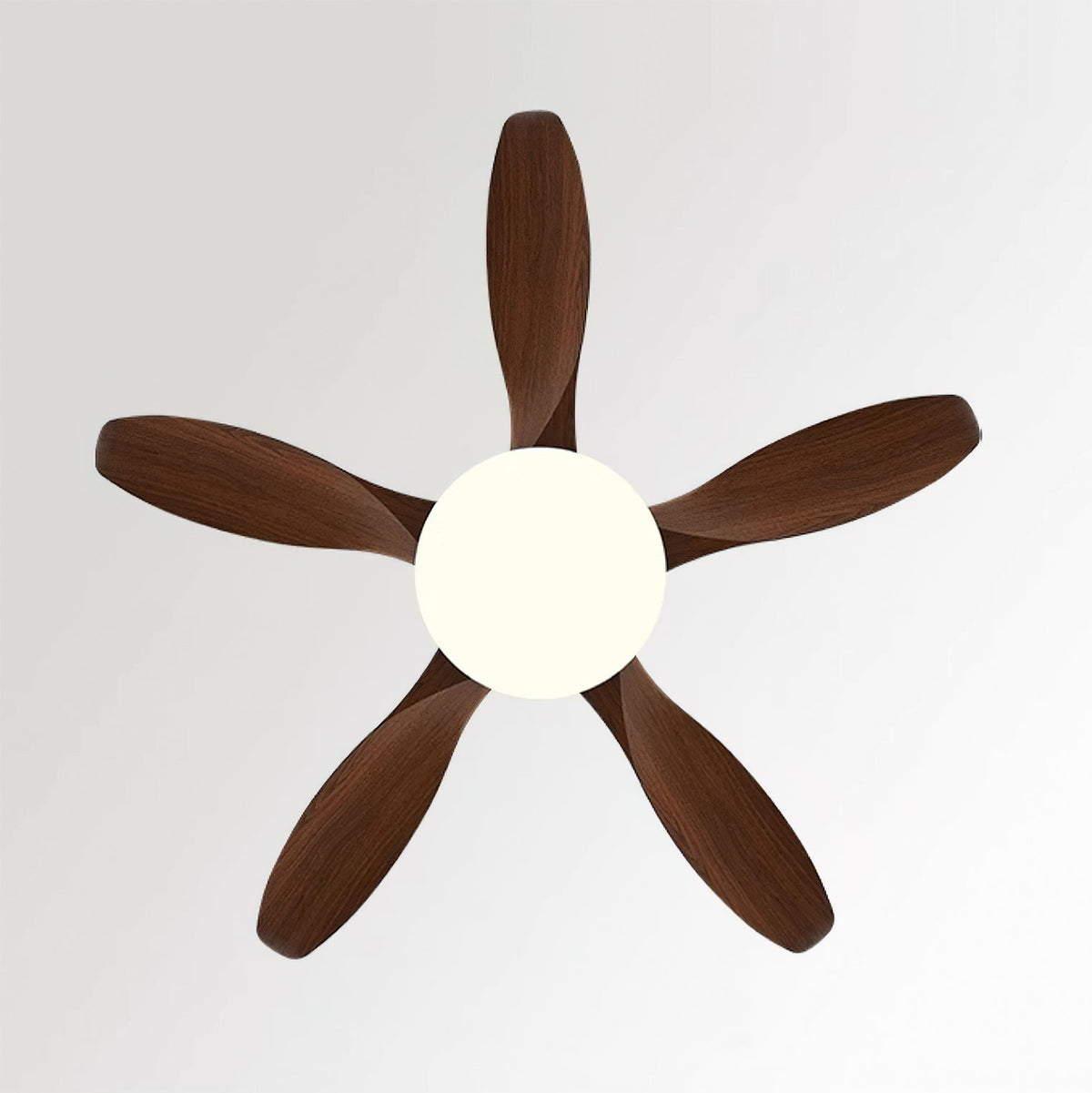 Liororeria ventilador de techo con luz