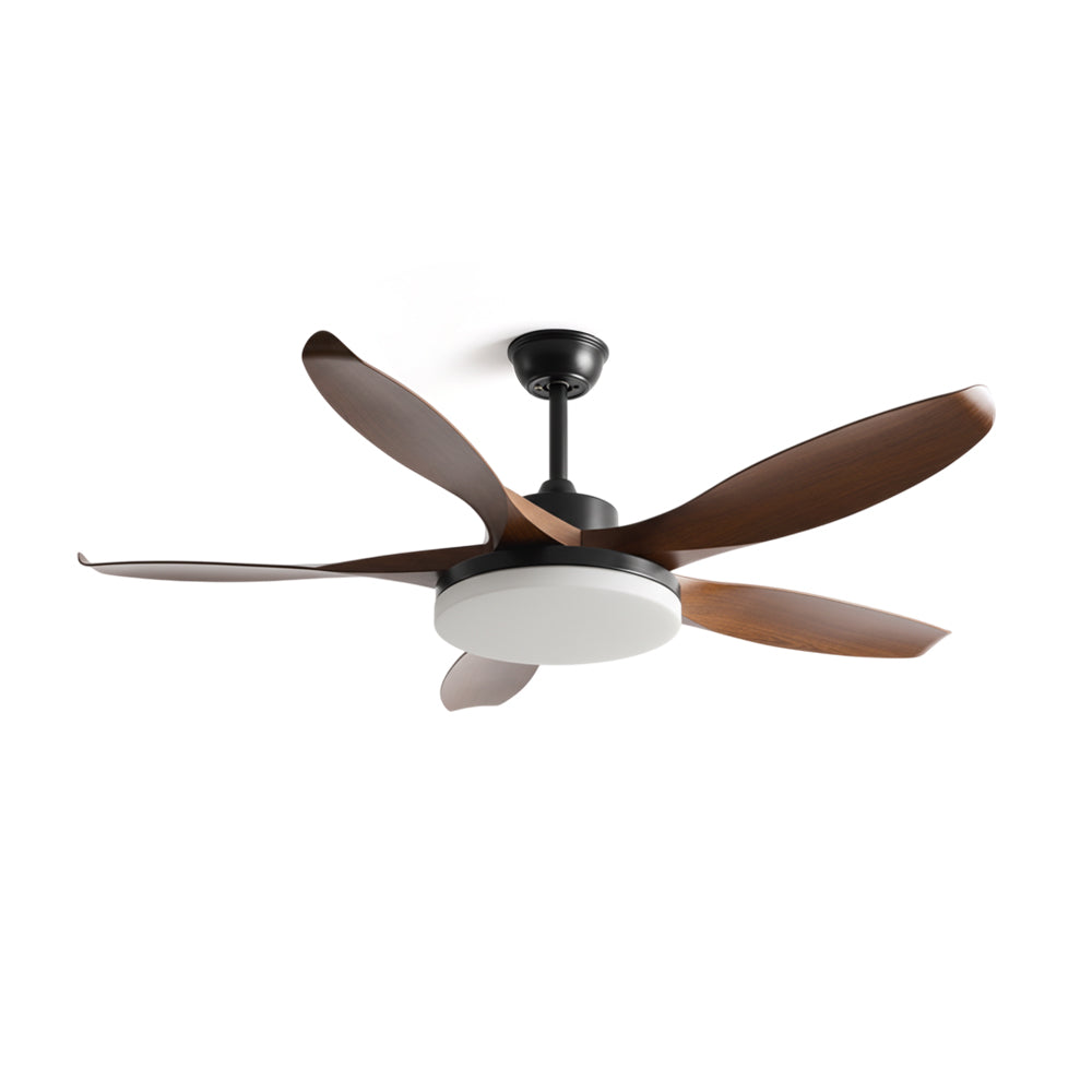 Liororeria ventilador de techo con luz