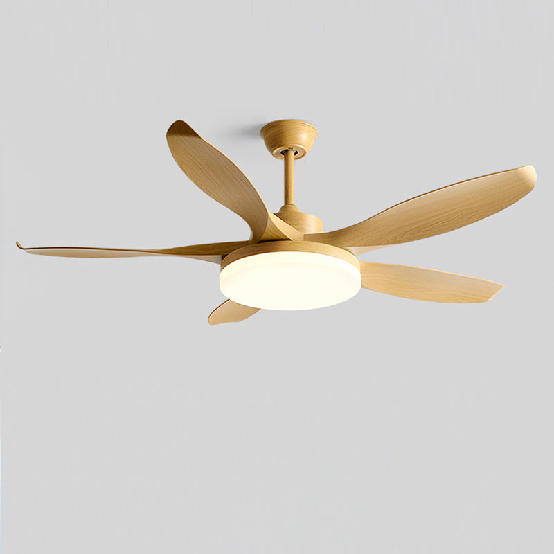 Liororeria ventilador de techo con luz