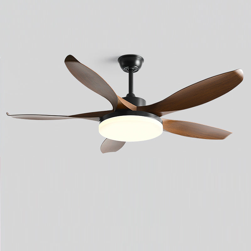 Liororeria ventilador de techo con luz