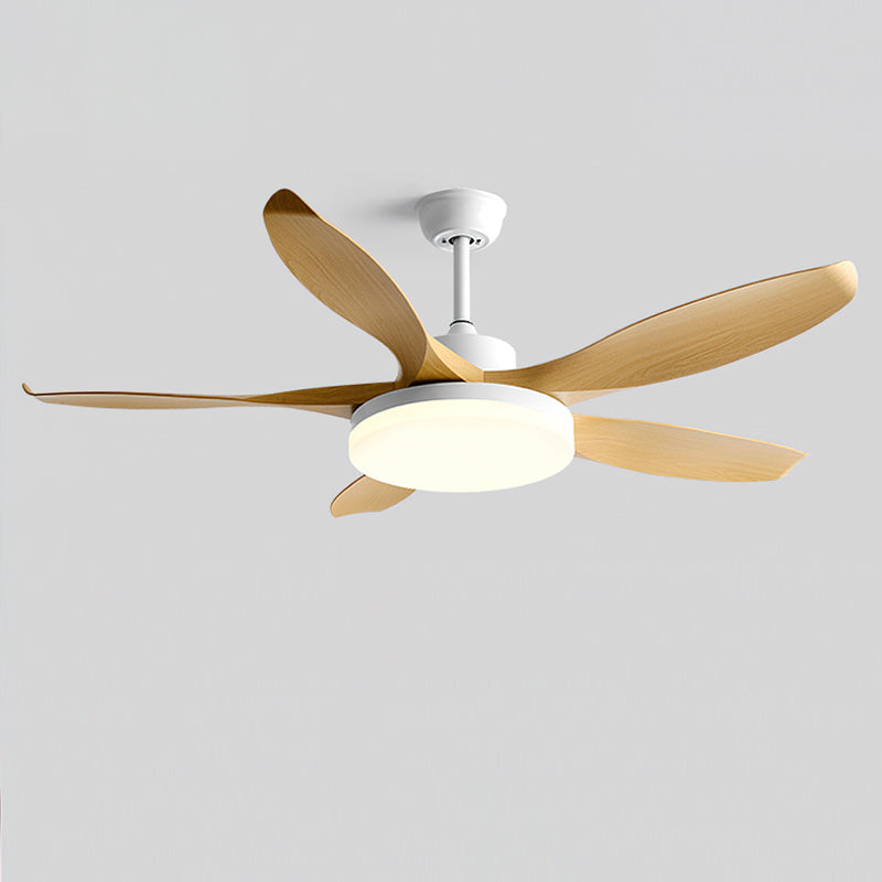 Liororeria ventilador de techo con luz
