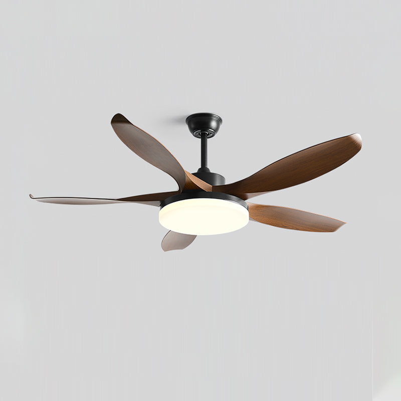 Liororeria ventilador de techo con luz
