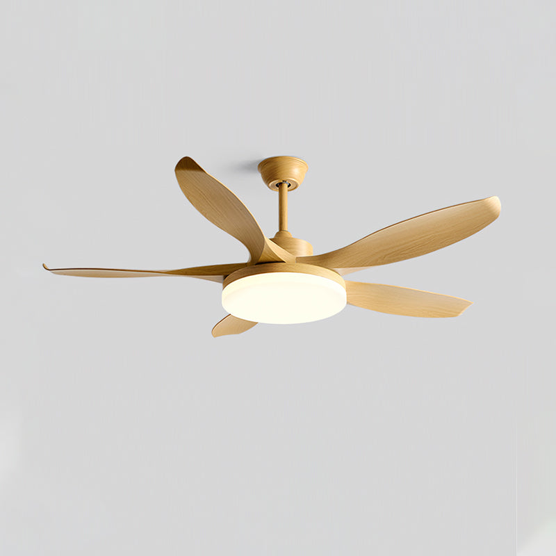Liororeria ventilador de techo con luz