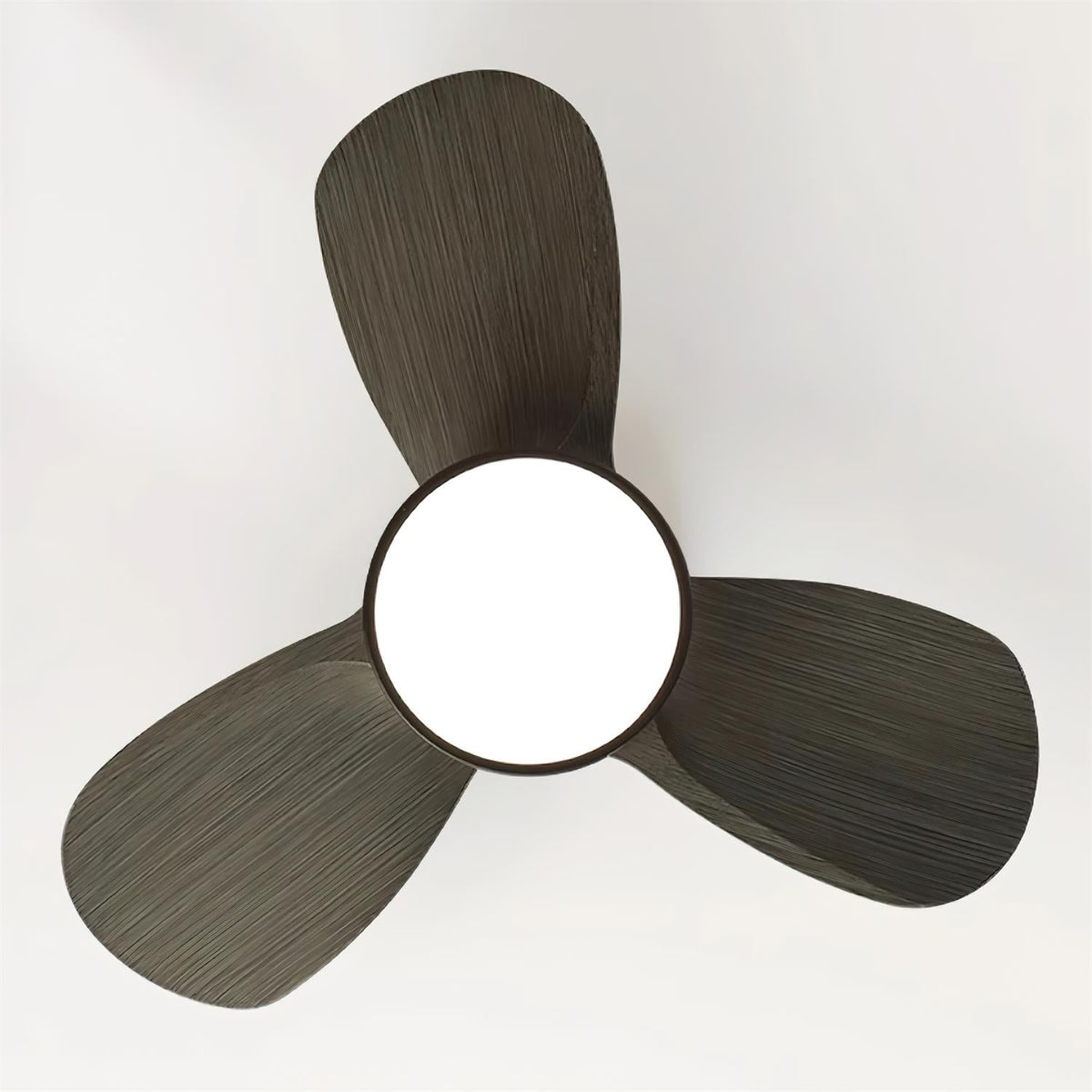 Lioraleria ventilador de techo con luz