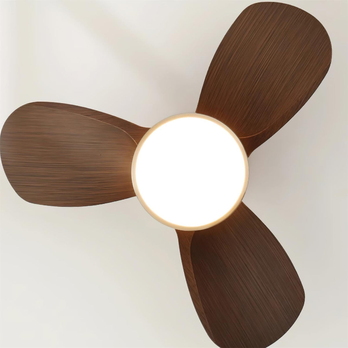 Lioraleria ventilador de techo con luz