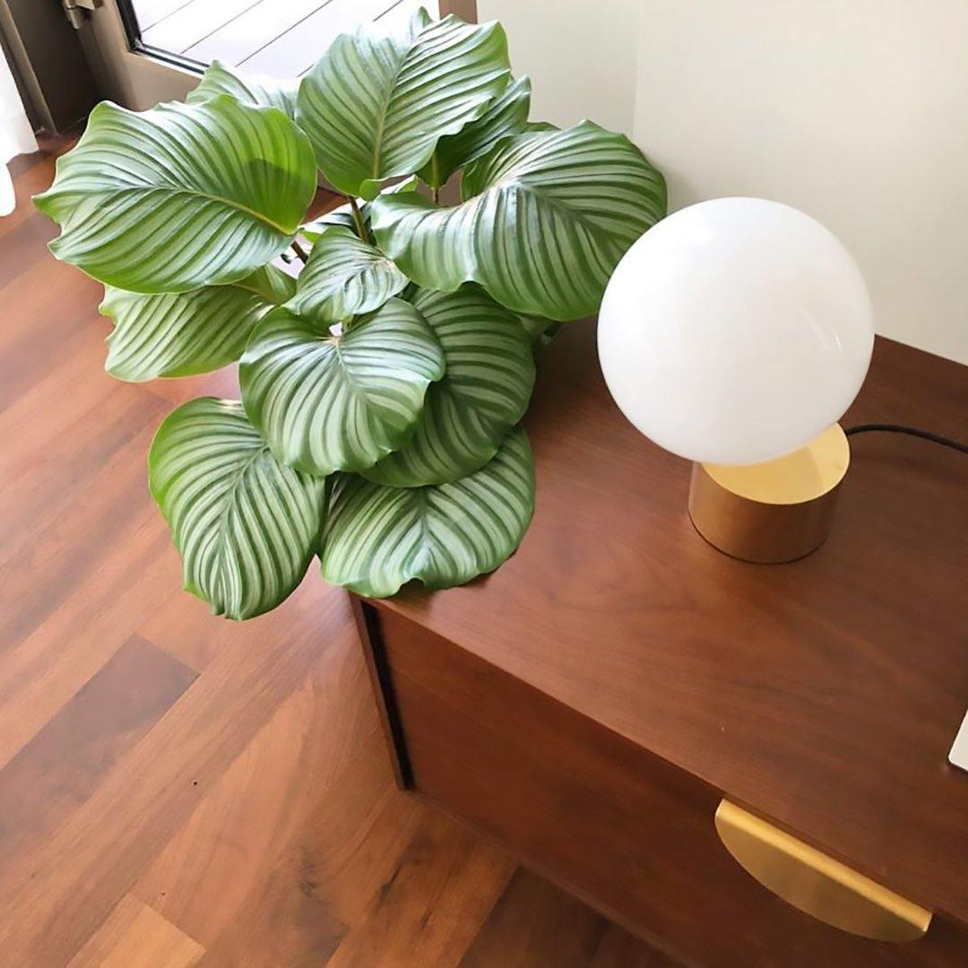 Eiraella lámpara de mesa de vidrio industrial