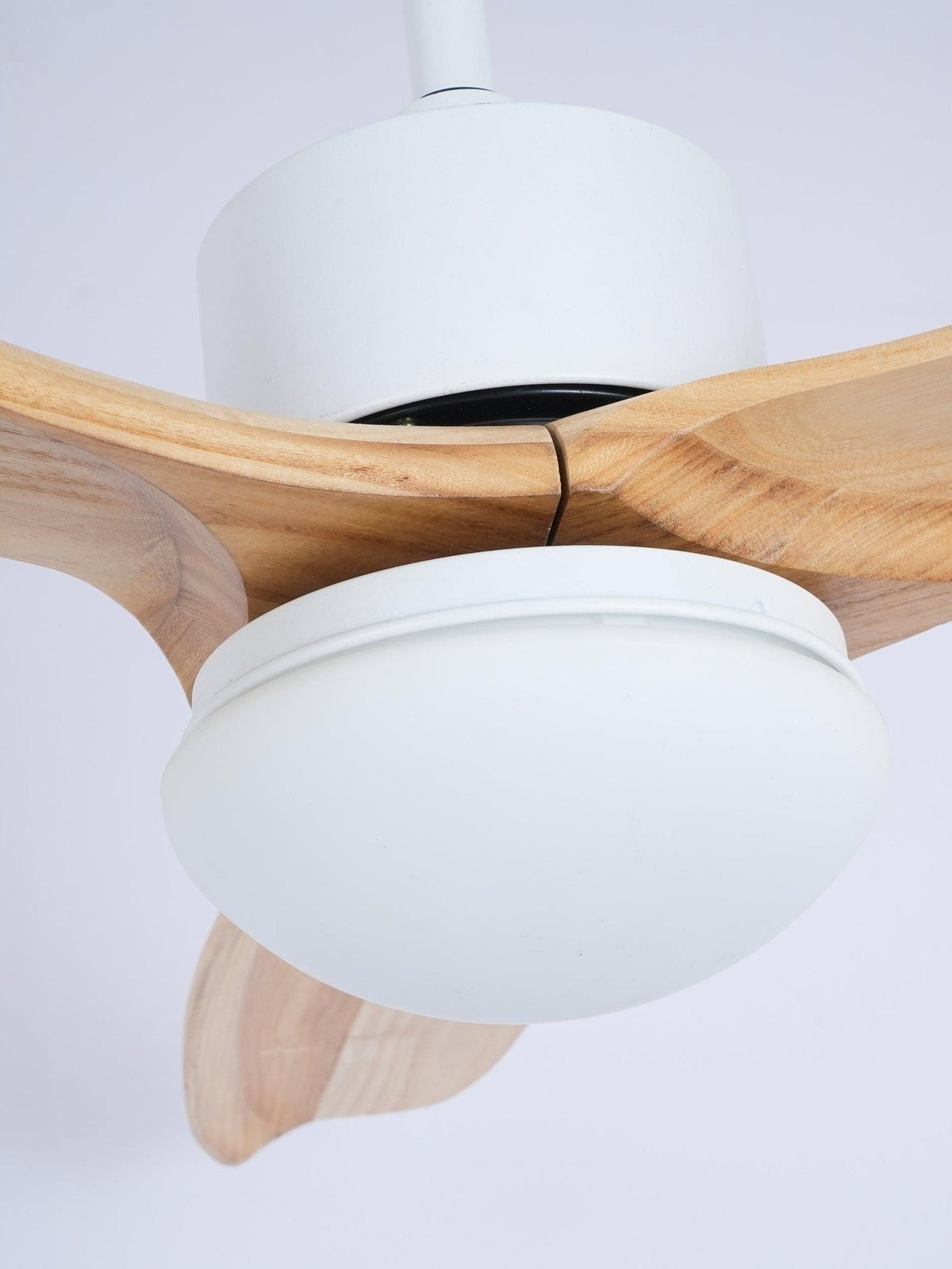 Norirora ventilador de techo con luz elegancia Natural