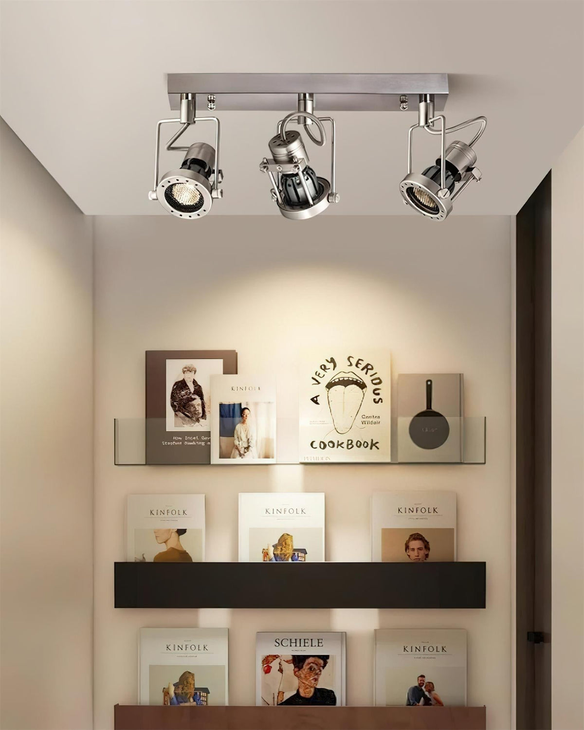 Nash Orbit Track Lighting