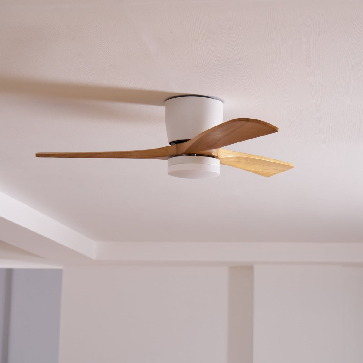 Miroise ventilador de techo con luz