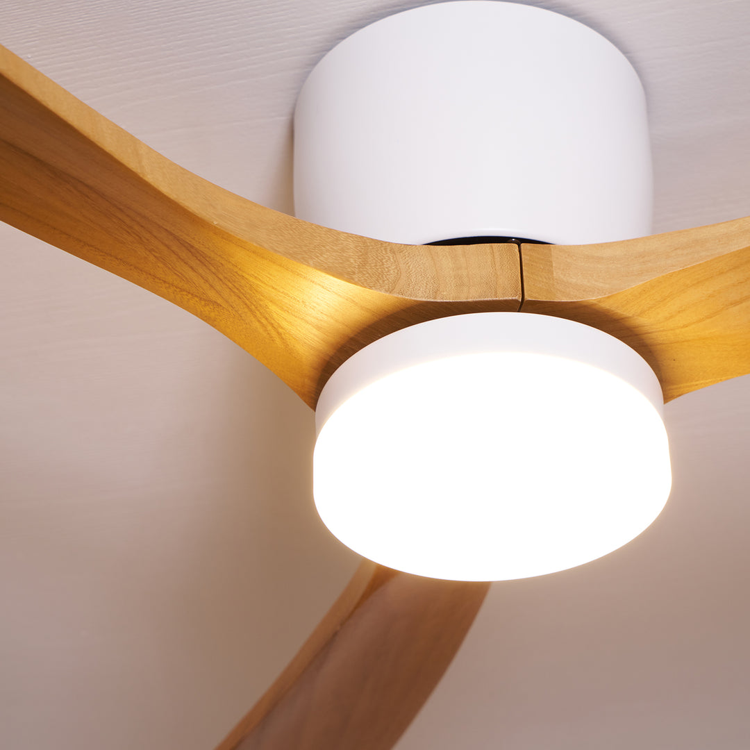 Miroise ventilador de techo con luz