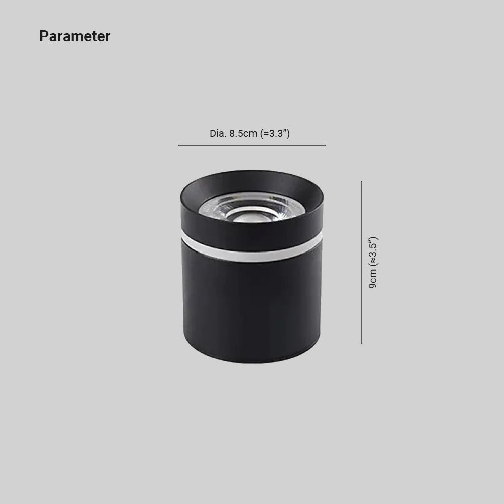 Arisha Minimalista Foco Cilíndrica Metal LED Lámpara de Techo Blanca/Negro