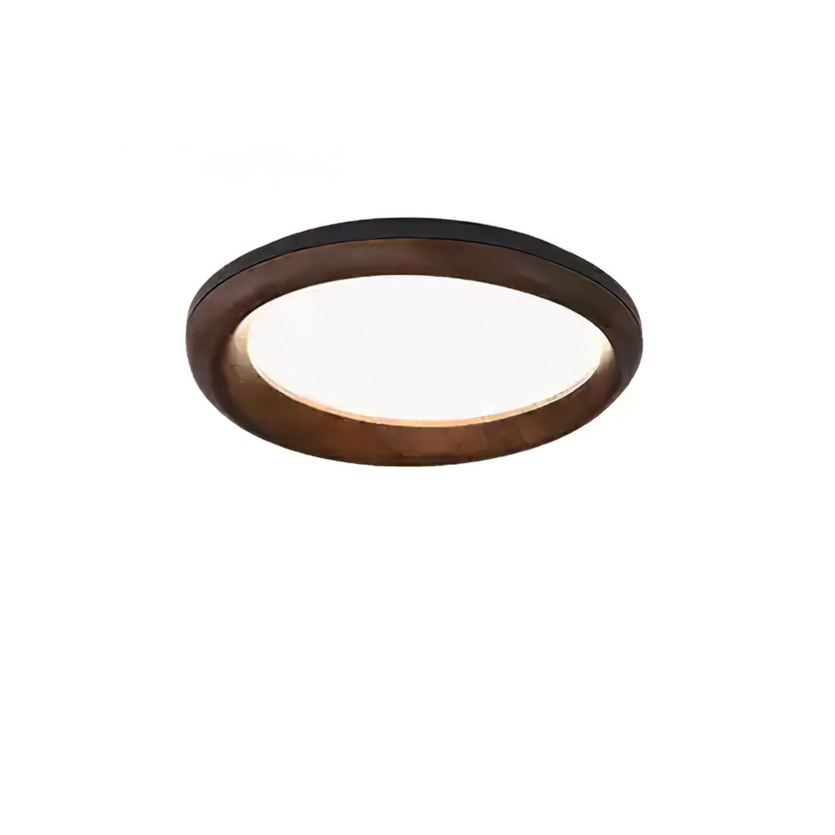 Eurtheara lámpara de techo de vidrio y madera orgánica