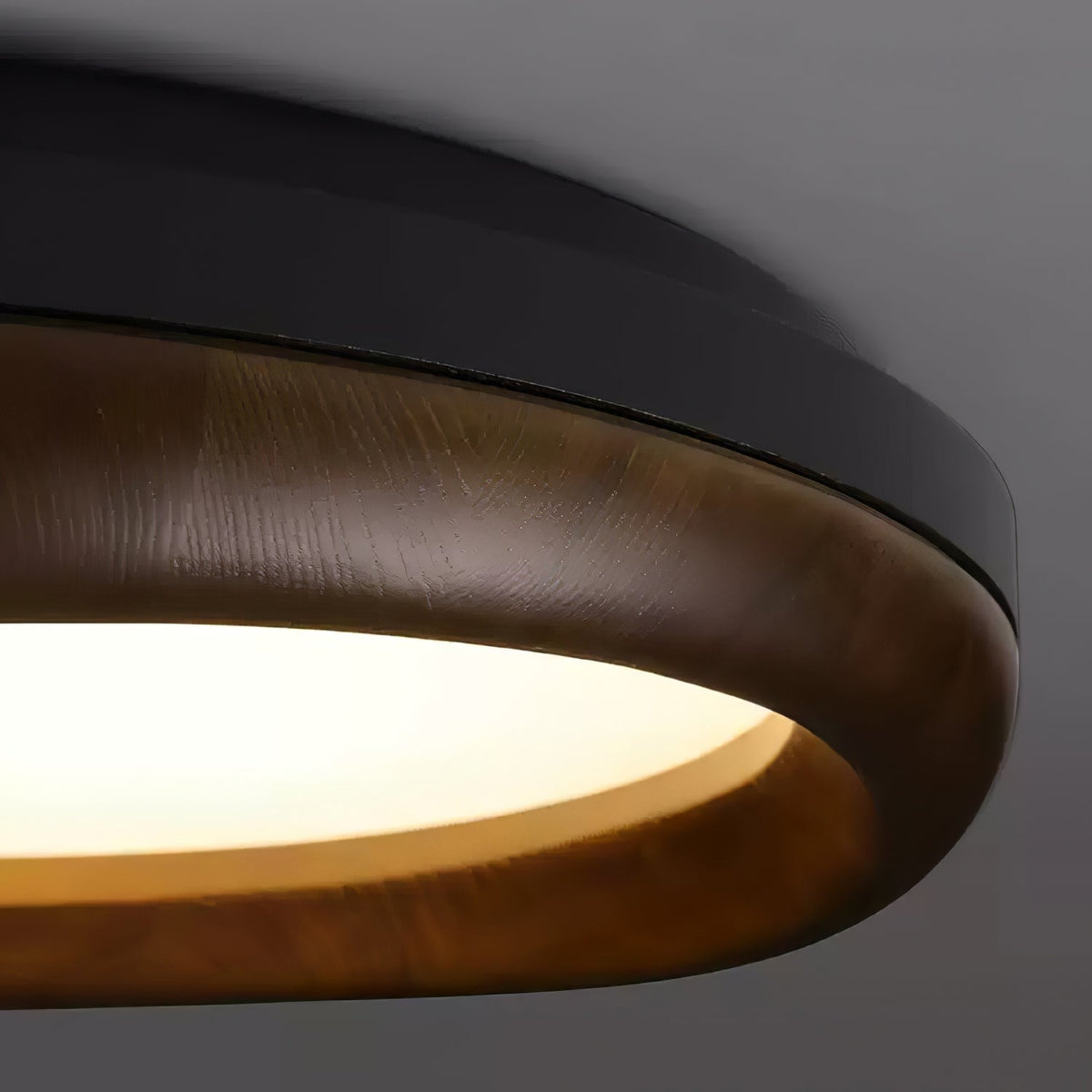 Eurtheara lámpara de techo de vidrio y madera orgánica