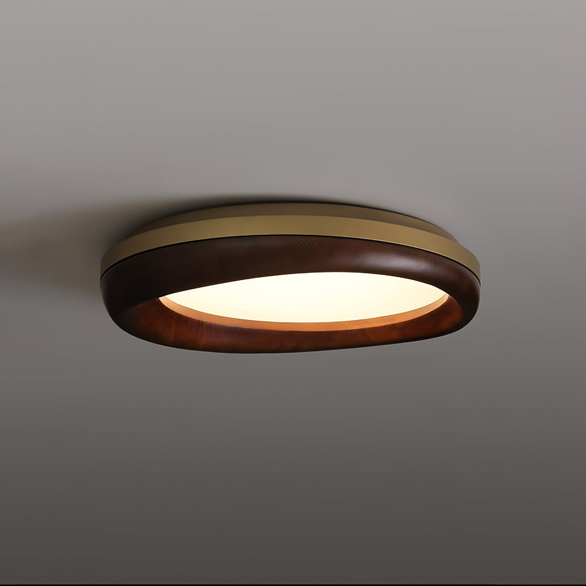 Eurtheara lámpara de techo de vidrio y madera orgánica