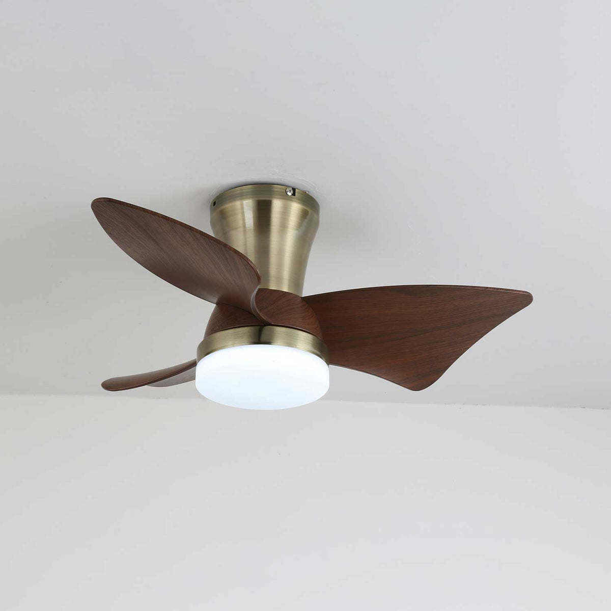 Aldivora ventilador de techo con luz moderno de madera
