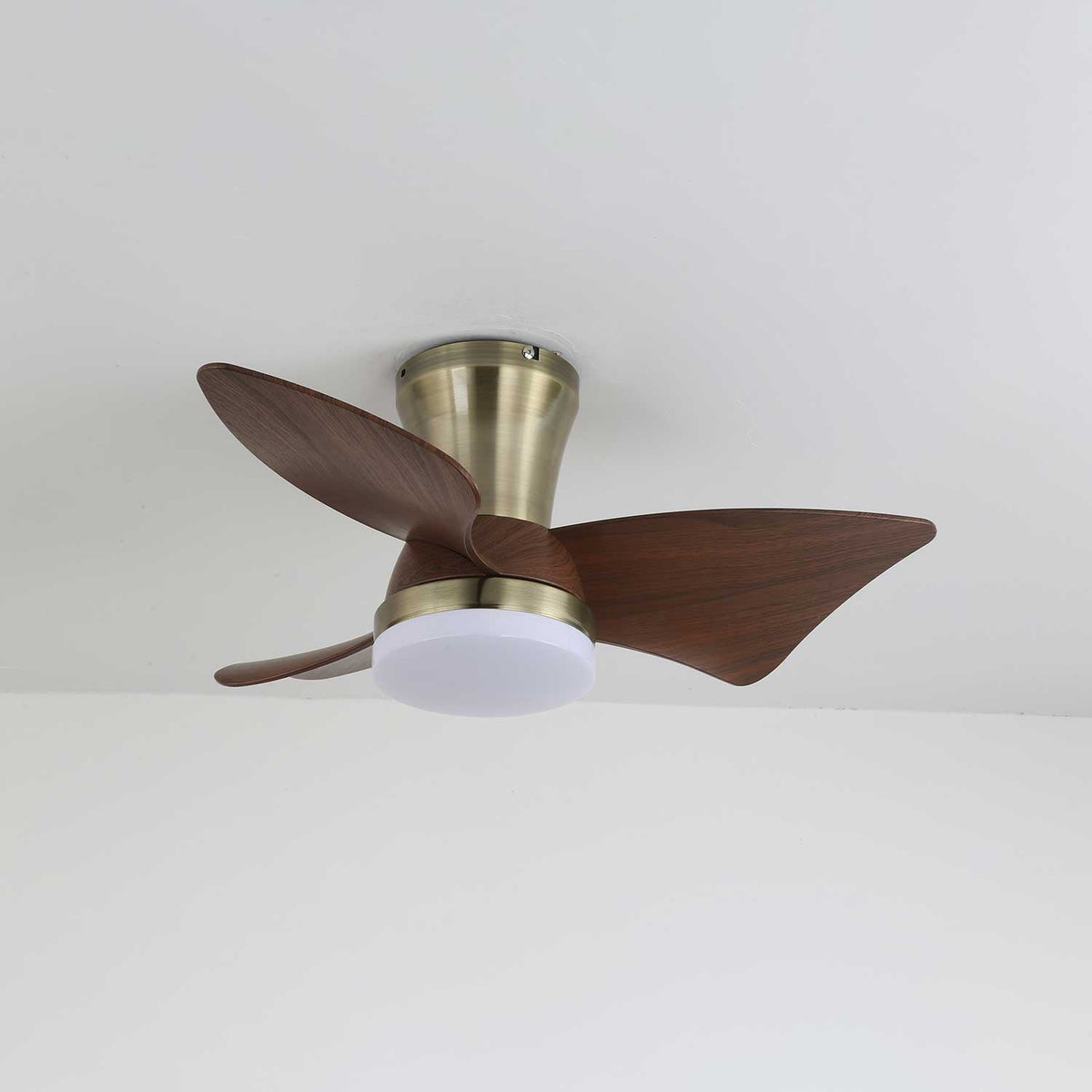 Aldivora ventilador de techo con luz moderno de madera