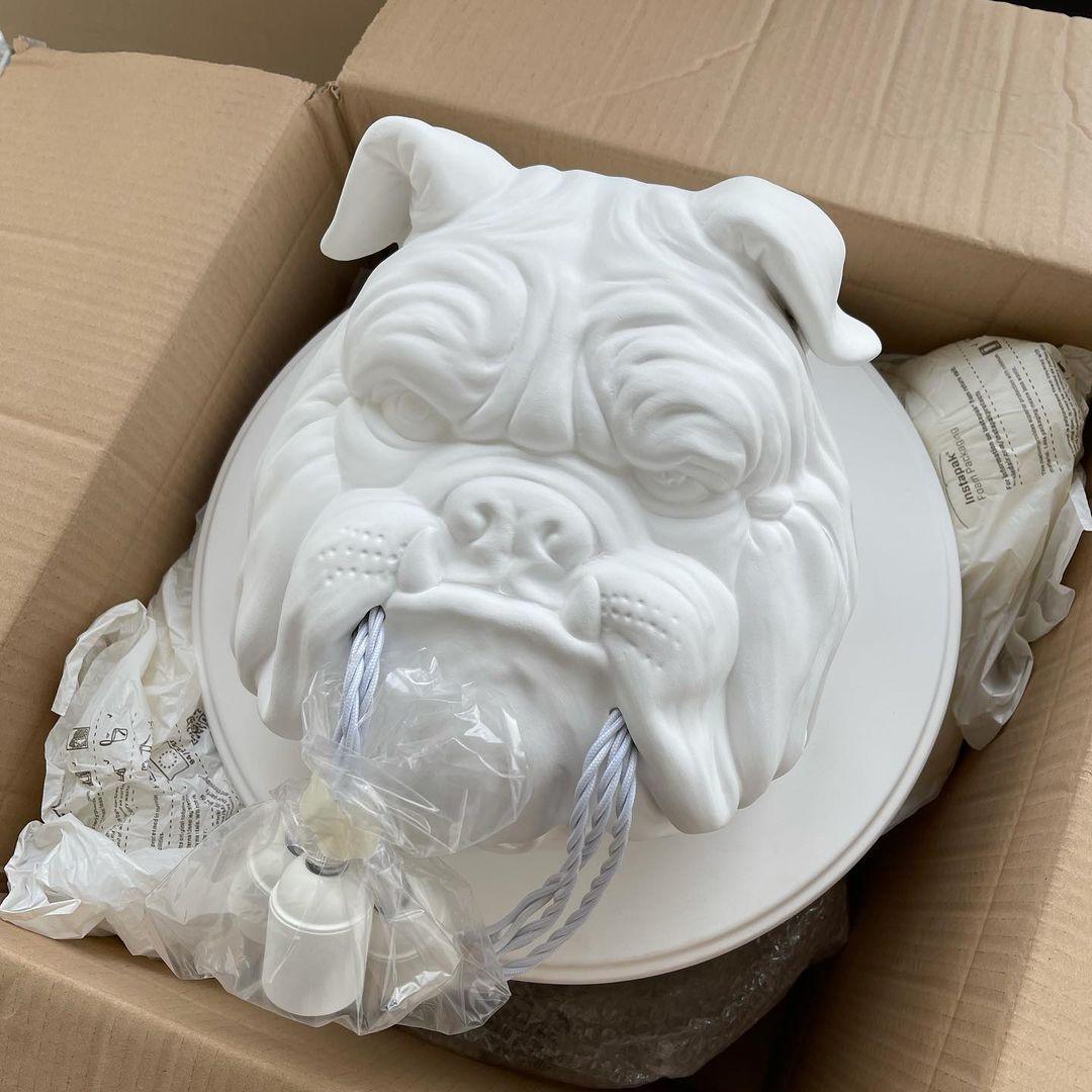 Umeri aplique de pared bulldog escultura caprichoso